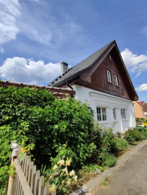Dům na návsi, Teplice